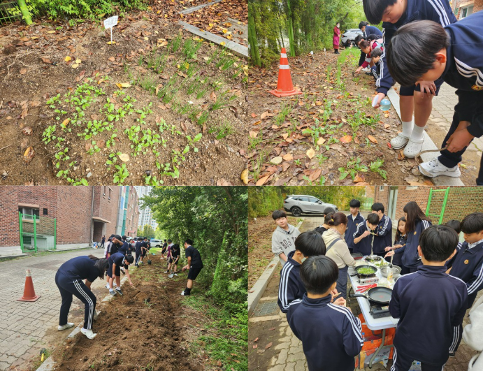1학년 2학기 창동 텃밭 생태수업